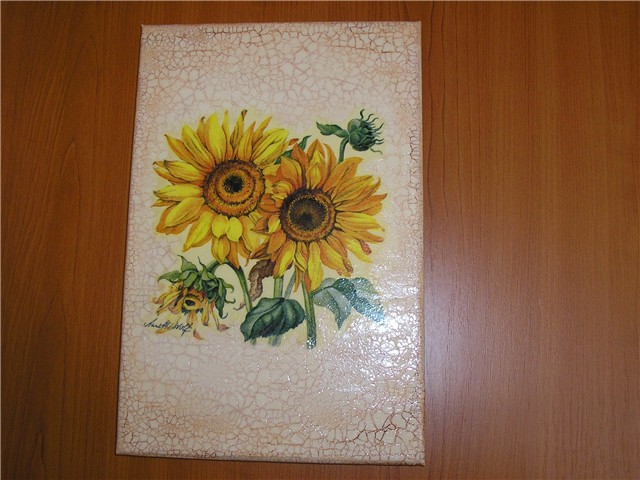 suncokret